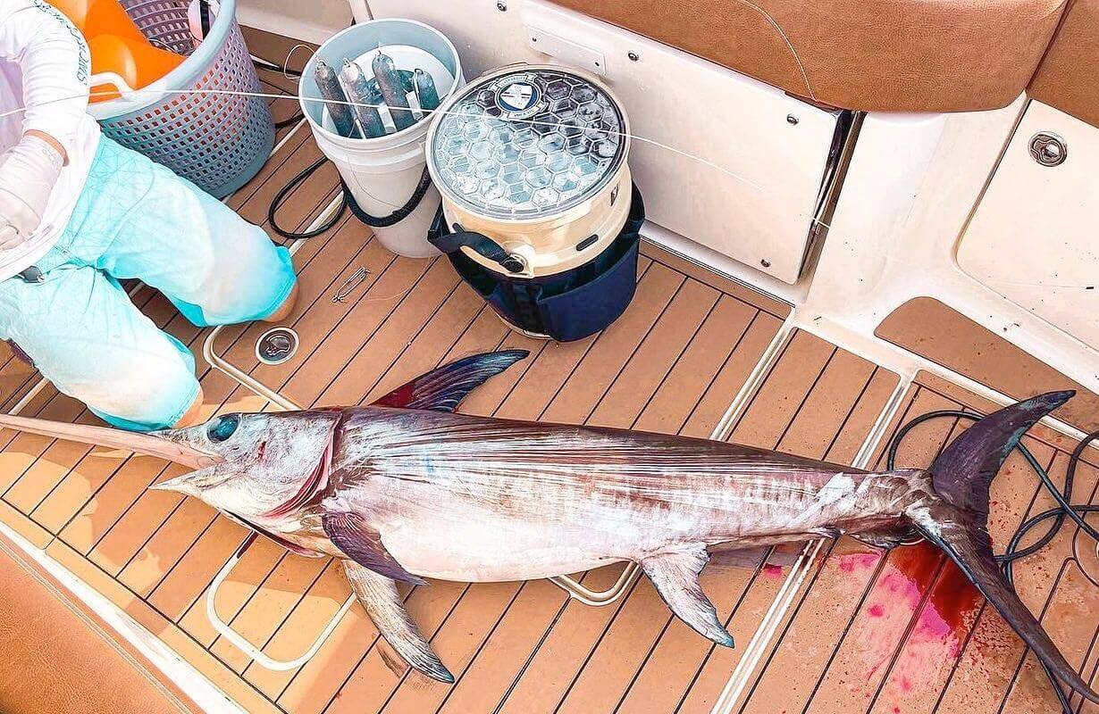 Cleaning Marine Decking the Right Way