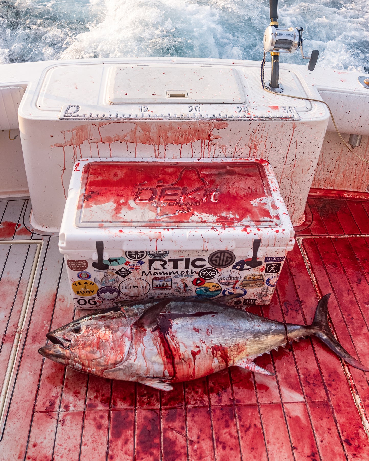 How to Clean Your Boat: Comprehensive Guide