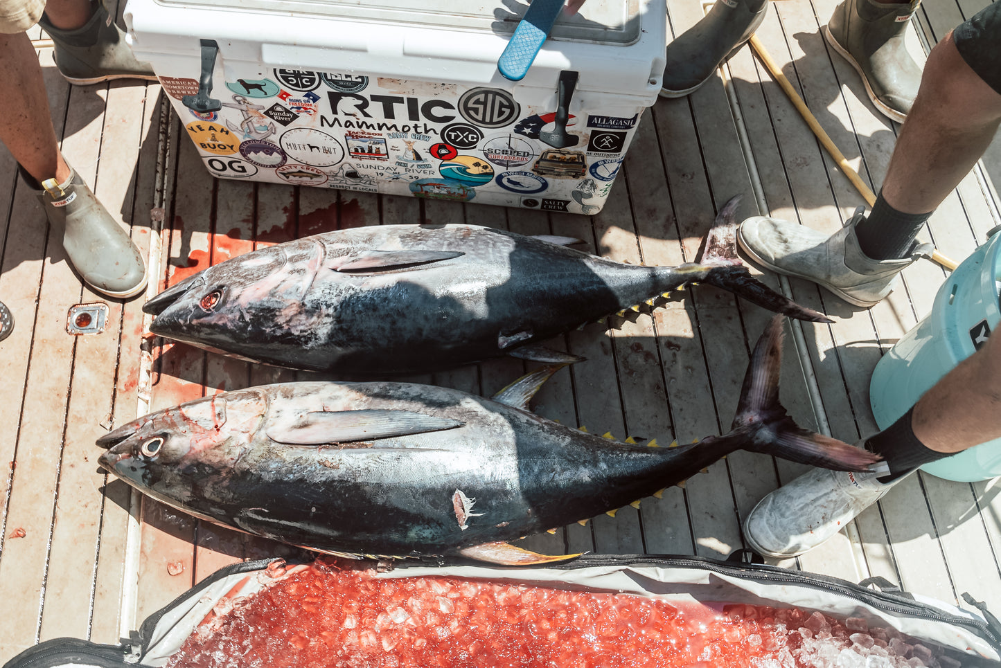 10 Cool Fishing Boat Accessories You Don’t Want to Miss