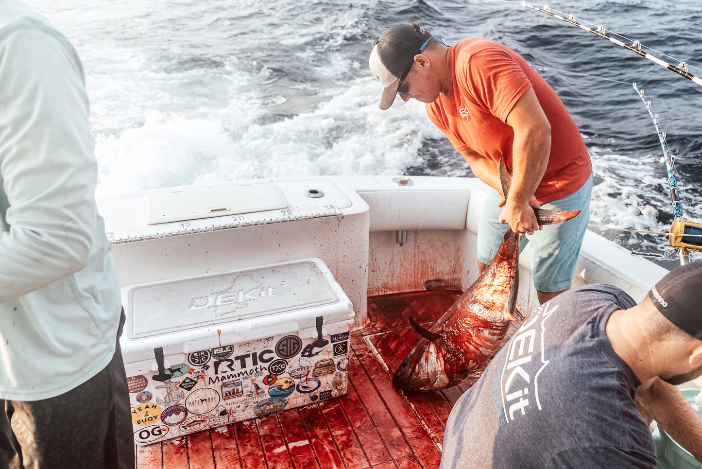 The Adventure of Tuna Fishing: Comprehensive Guide